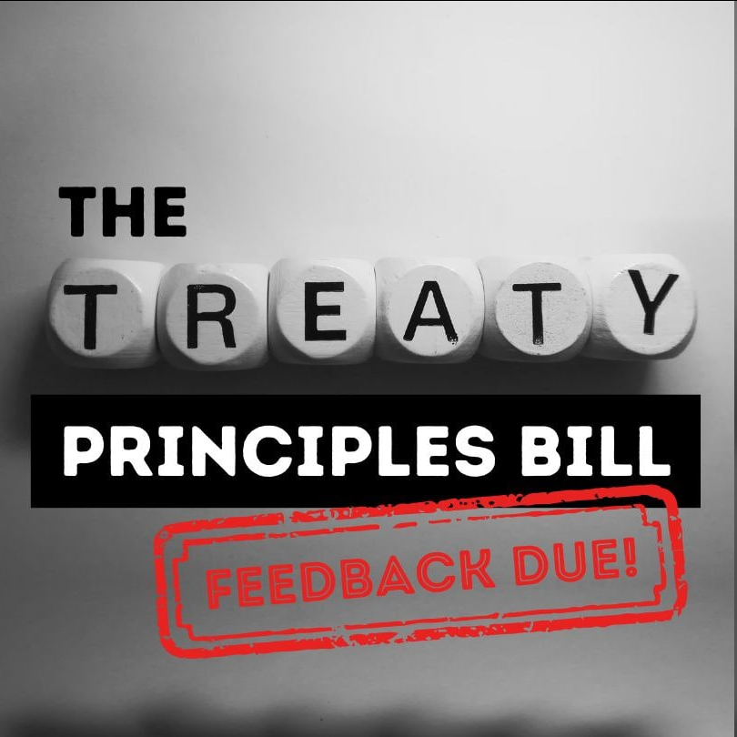 Treaty Principles Bill Reality Check Radio