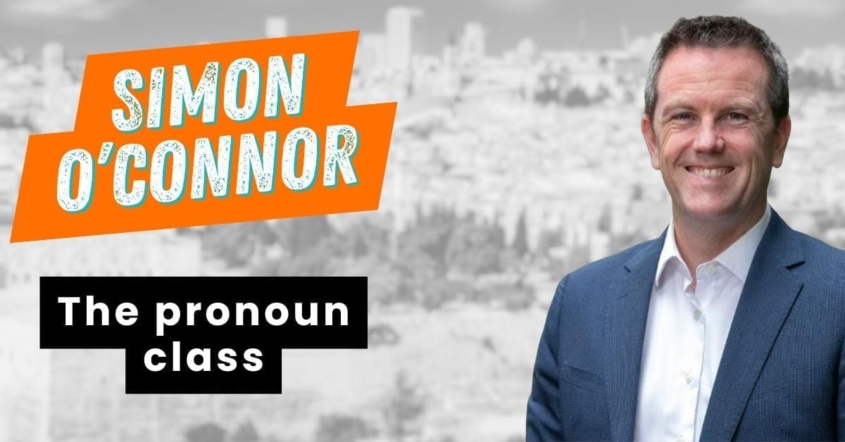 Blog-Simon_Oconnor-The pronoun class