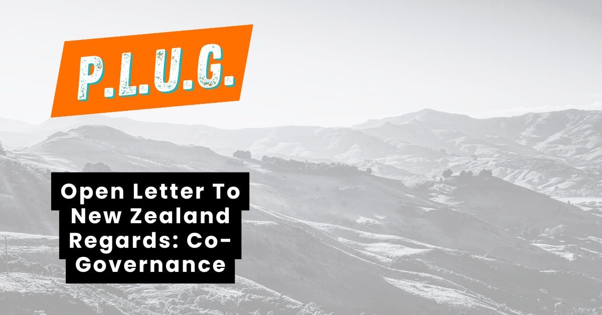 Blog- PLUG_NZ